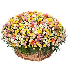 Премиум букет из: Розы #REPLACE_PRED# Рыбинске