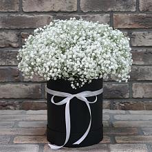 Цветочная композиция из Гипсофила в шляпной коробке в Рыбинске