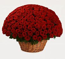 Премиум букет из: Розы #REPLACE_PRED# Рыбинске